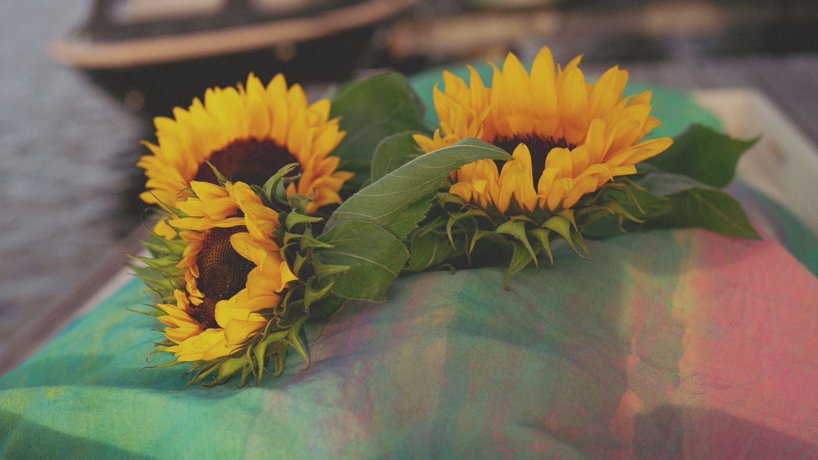 Zonnebloemen op een beschilderde wade