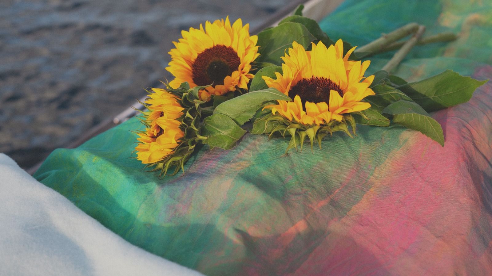 Wade met zonnebloemen aan het water
